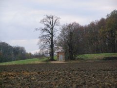 celkový pohled
