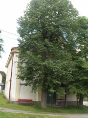pohled zepředu zleva