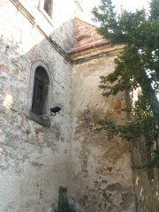 detail zepředu zprava