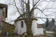 pohled zezadu zprava