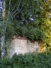 pohled zezadu