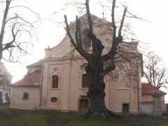 pohled zepředu