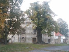 pohled zepředu