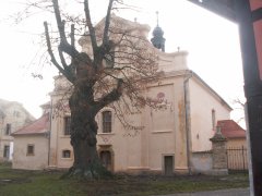 pohled zepředu zprava