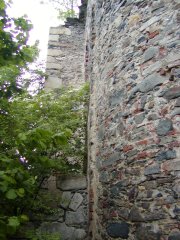 pohled zezadu zleva
