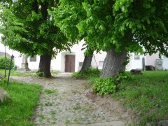 cesta na bývalém hřbitově