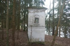 pohled zezadu zleva