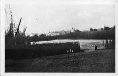 celkový pohled na ves s kostelem