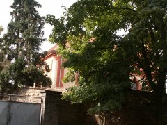 pohled zezadu zleva
