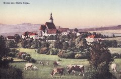 dobová pohlednice vsi s kostelem