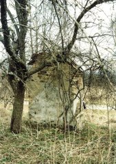 pohled zezadu zleva