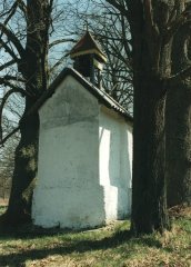pohled zezadu zleva