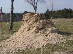 pohled zezadu zleva