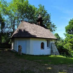 pohled zezadu zleva