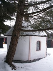 pohled zezadu zleva