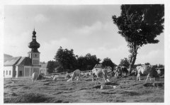 dobová pohlednice s motivem kostela