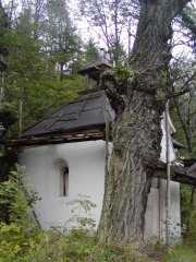 pohled zepředu zleva