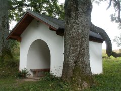 pohled zepředu zprava