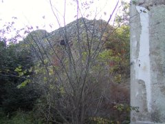 pohled zprava