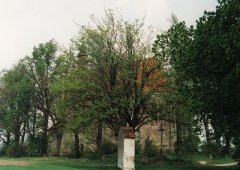 kaplička křížové cesty u kostela