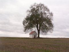 celkový pohled