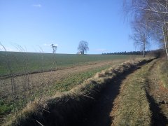 celkový pohled