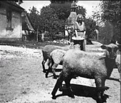 historické foto kaple