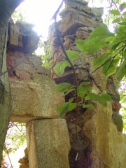 detail zepředu 