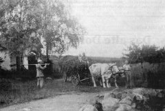 historické foto kaple