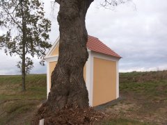 pohled zepředu zprava
