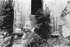 detail zdiva
