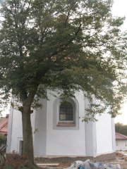 pohled zezadu zleva