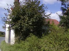 pohled zprava