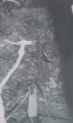 proražená klenba hrobky s lebkou a zbytky rakví