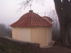 pohled zezadu zleva