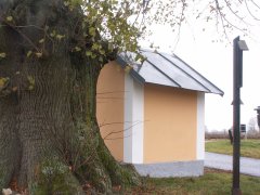 pohled zezadu zleva
