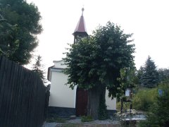 pohled zepředu