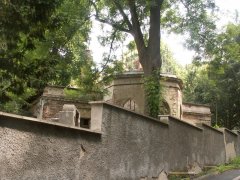 pohled zezadu 