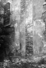 detail poškozené omítky