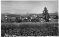 dobová pohlednice vsi s kostelem