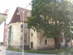 pohled zezadu zleva