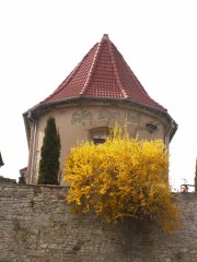 pohled zezadu