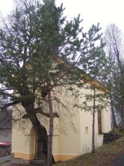 pohled zepředu zprava