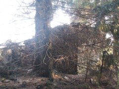 pohled zezadu zprava