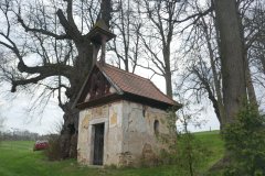 pohled zepředu zprava