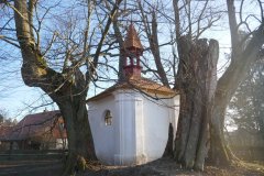 pohled zezadu zprava