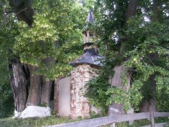 pohled zezadu zleva