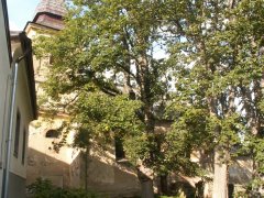 pohled zprava