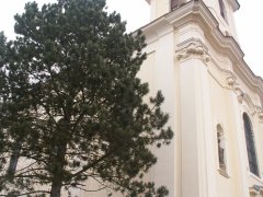 detail zepředu zleva