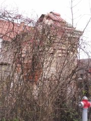 pohled zezadu zleva